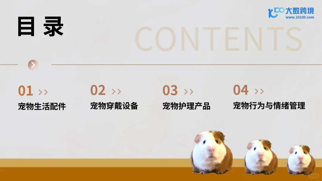 2025新兴宠物用品市场洞察报告