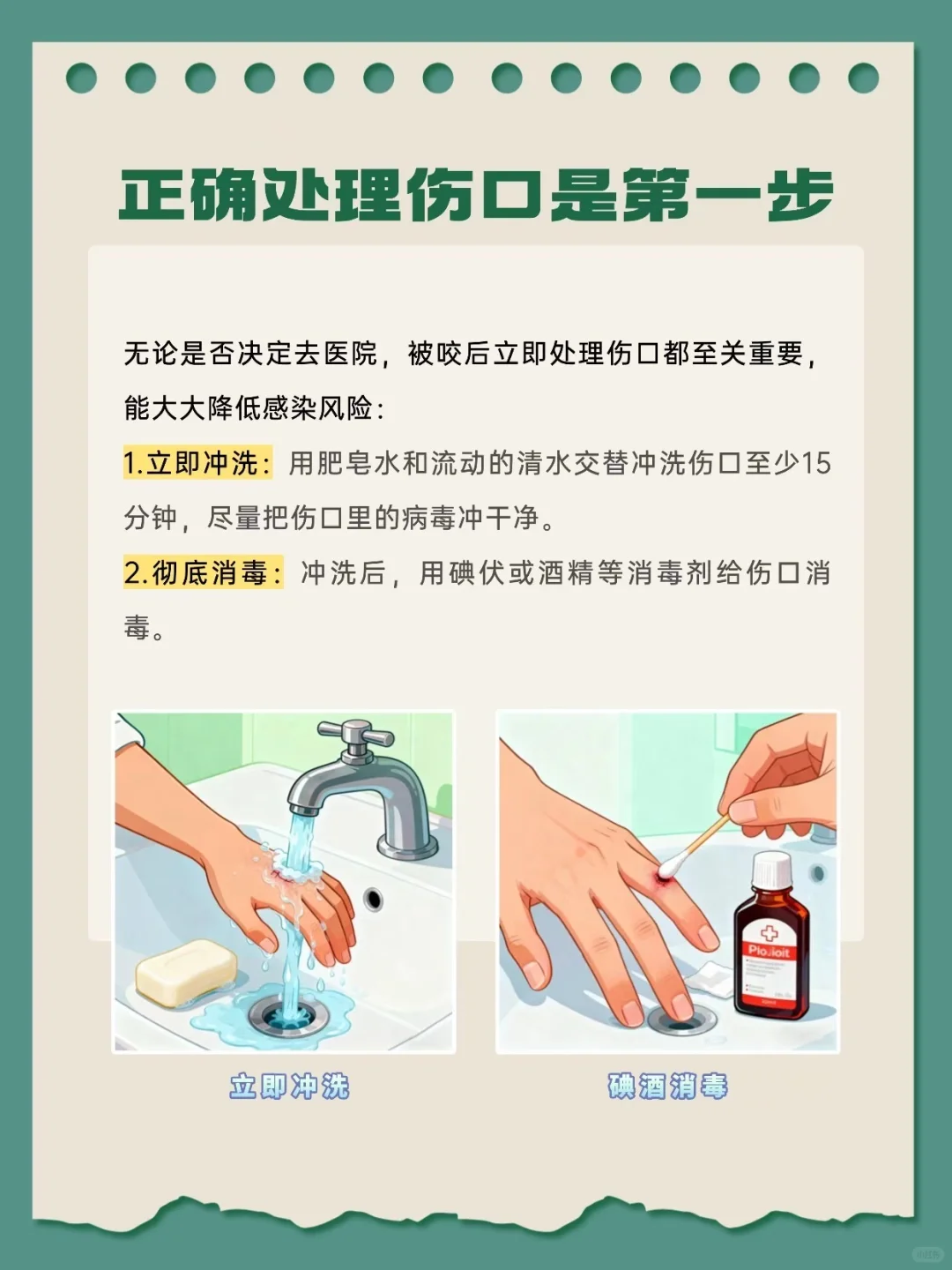 警惕⚠️狂犬病反弹，注意这些很重要