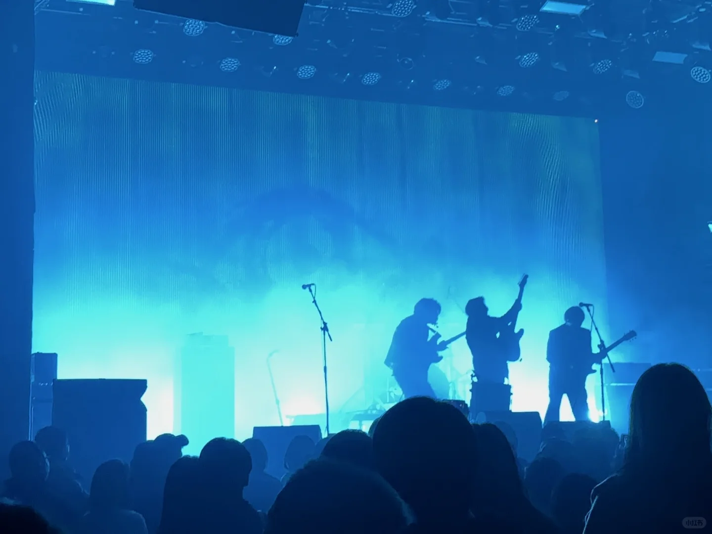 白皮书乐队巡演北京