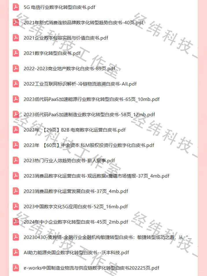 2024企业数字化转型研究报告白皮书