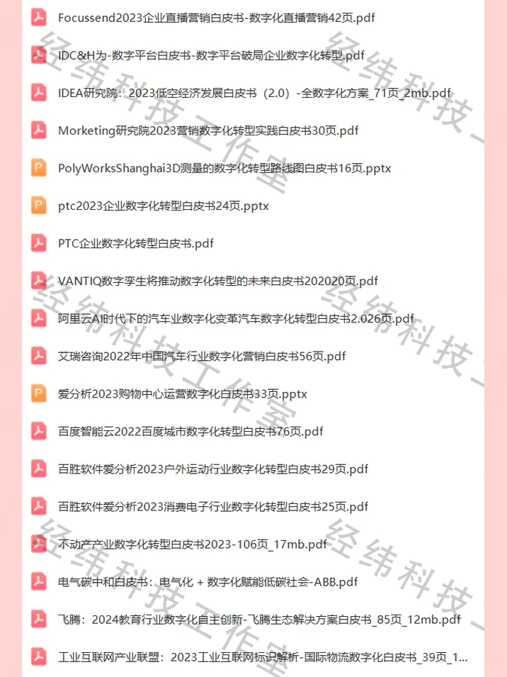2024企业数字化转型研究报告白皮书