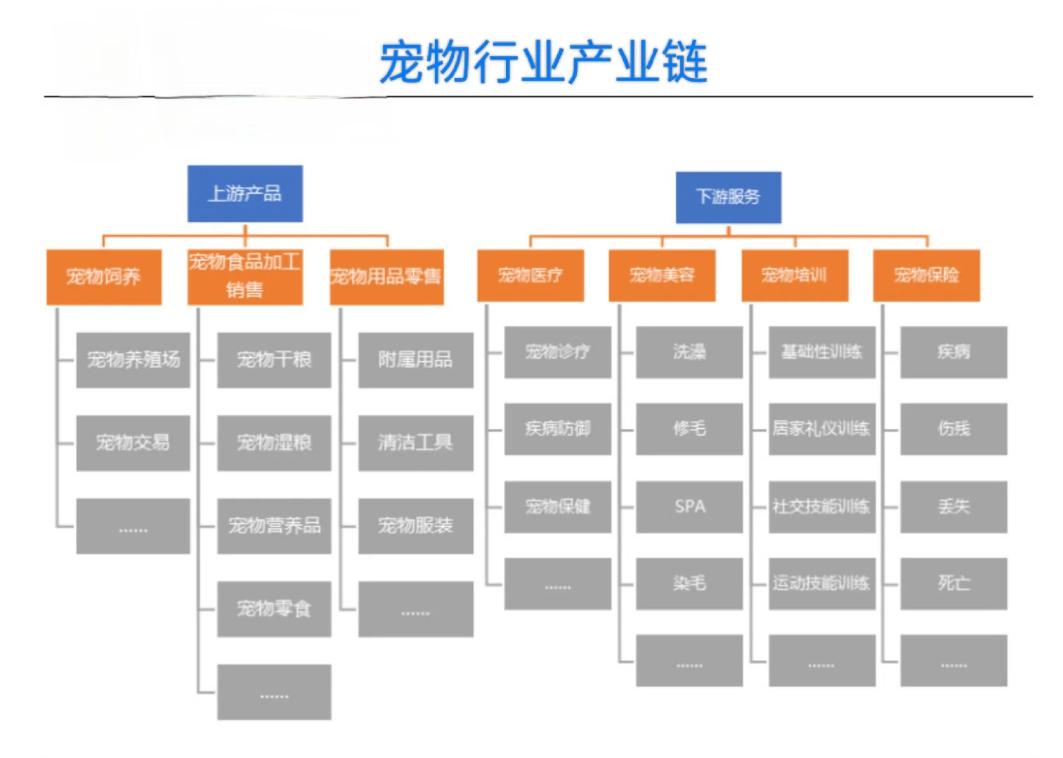 宠物行业产业链你处在哪个环节？