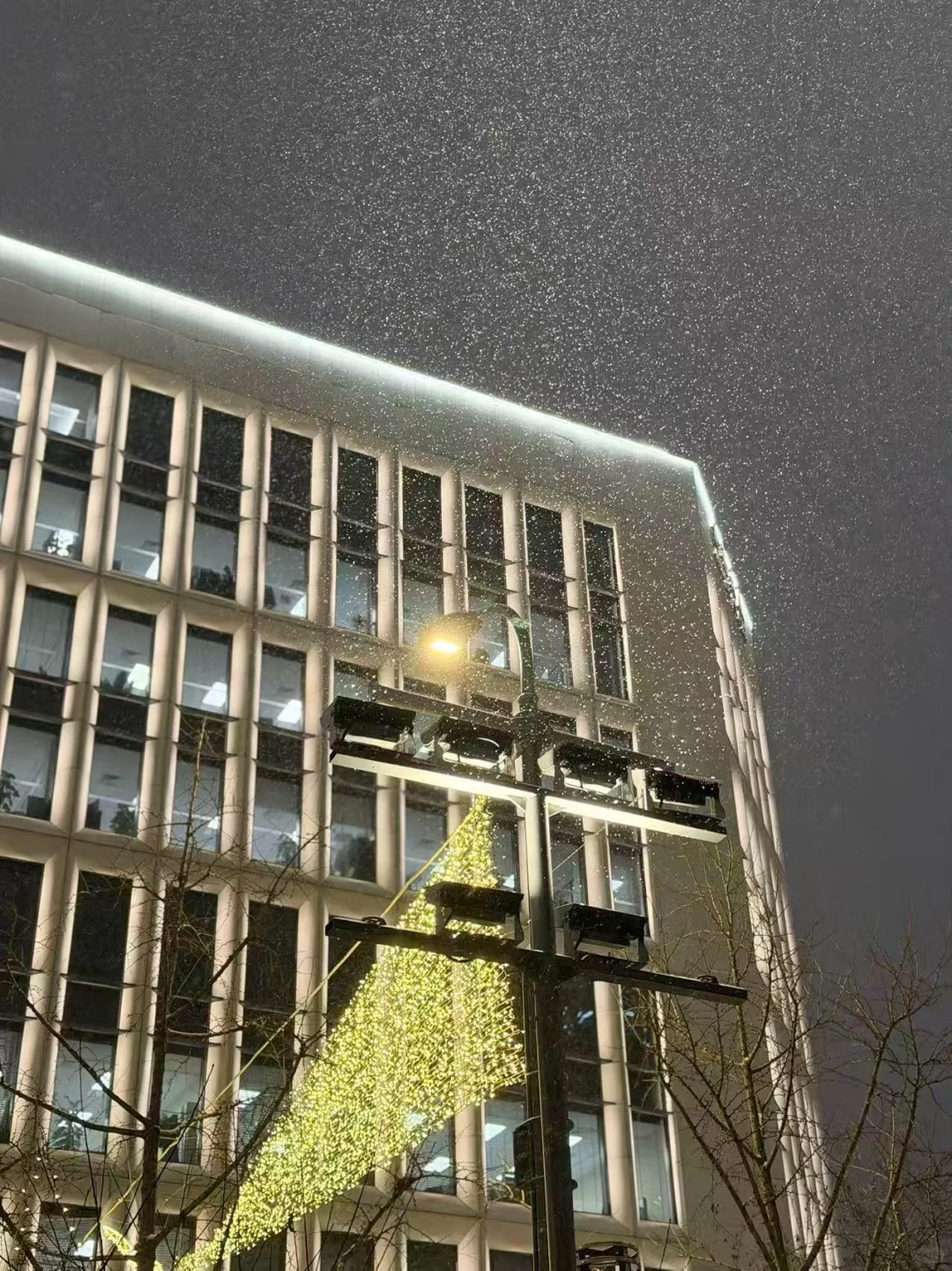 机构销售,仍然是性价比很高的工作