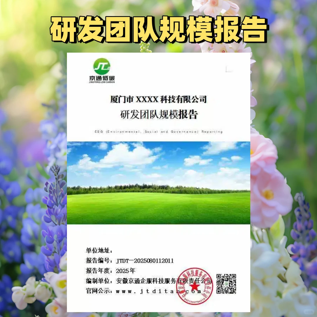 研发团队规模报告