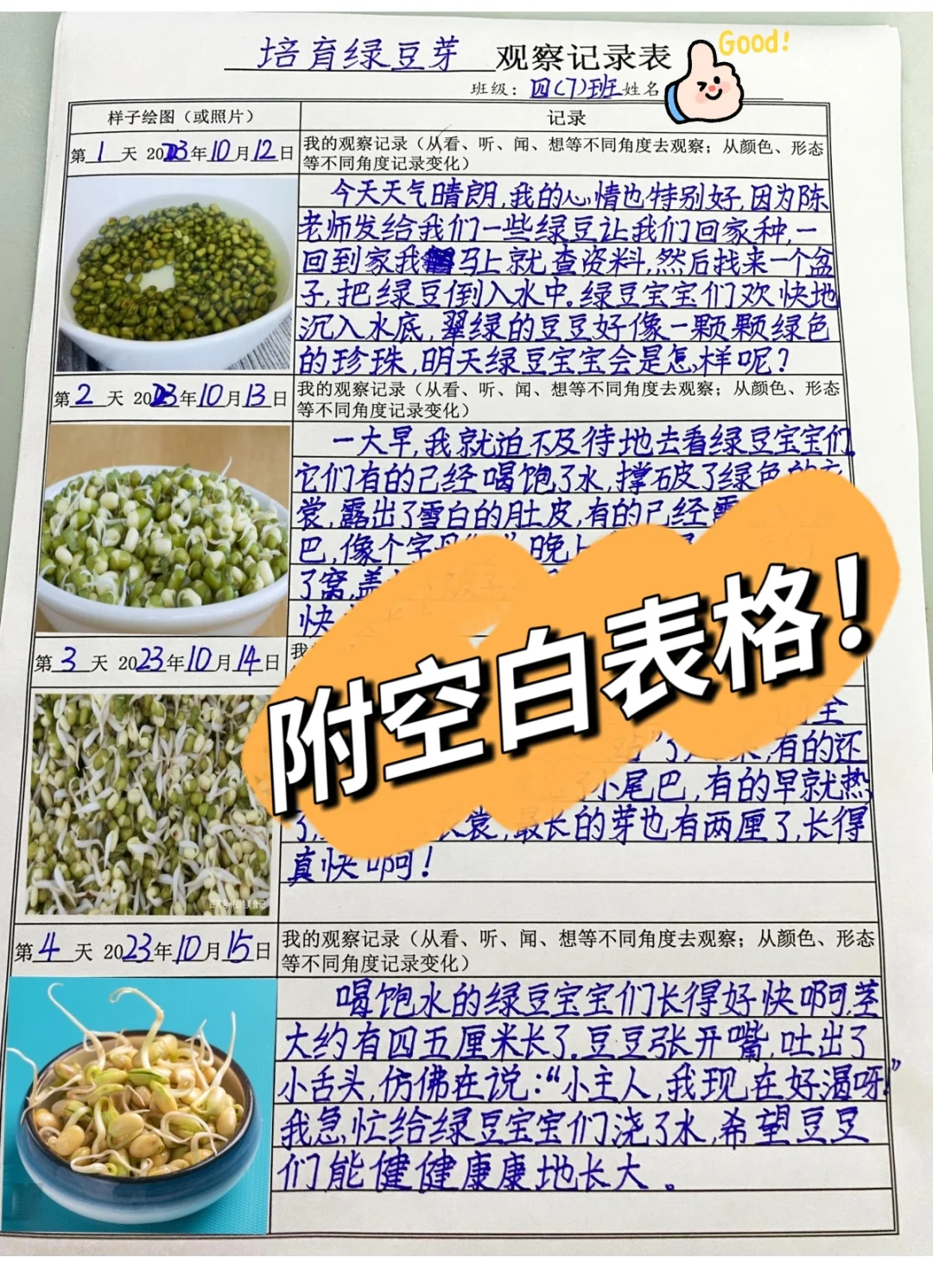 第三单元观察记录表（附空白表格）