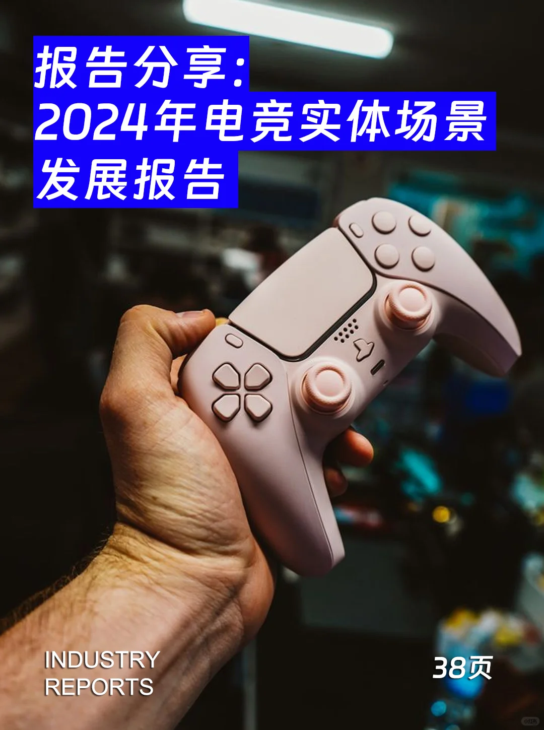 38页| 2024年电竞实体场景发展报告
