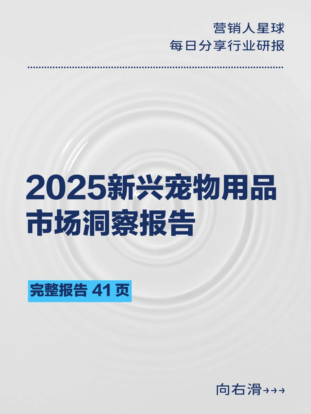 2025新兴宠物用品市场洞察报告