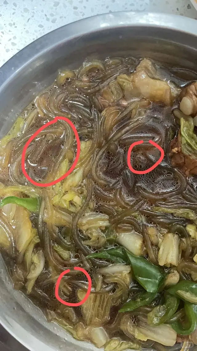 白瞎了一锅白菜粉条排骨