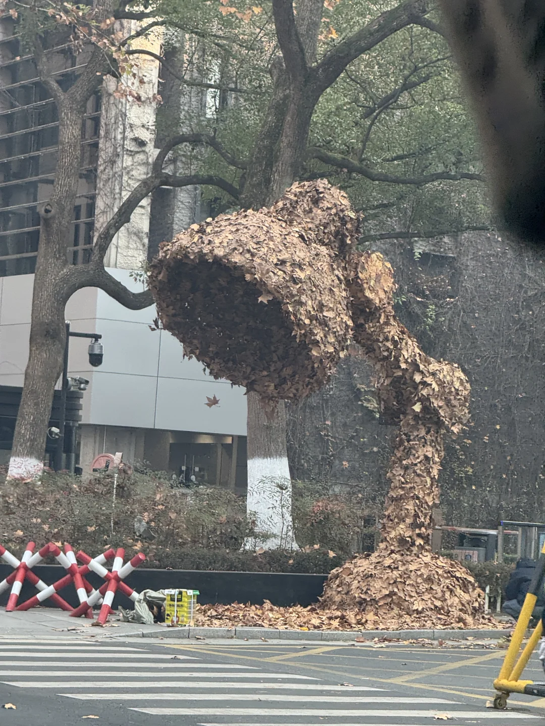 一年一度美院秋叶艺术节又开始啦
