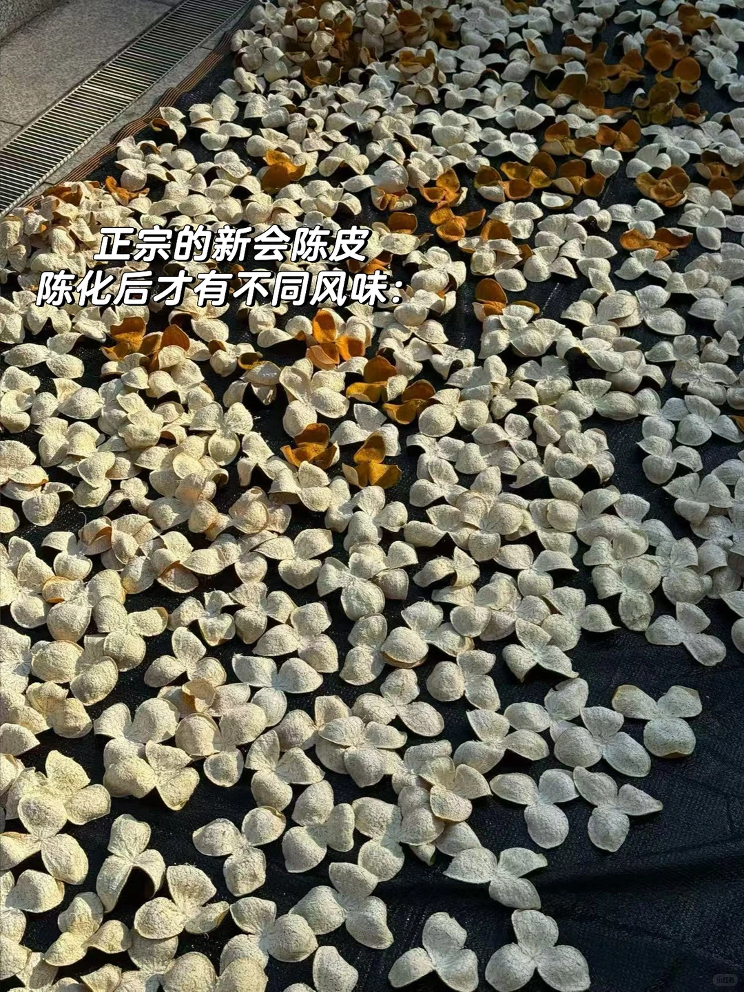 ?陈皮市场规范：什么是新会陈皮？