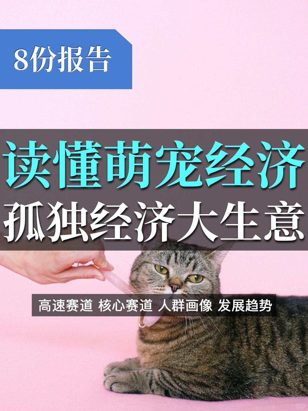 8⃣️份报告读懂萌宠经济:“孤独经济”大生意?