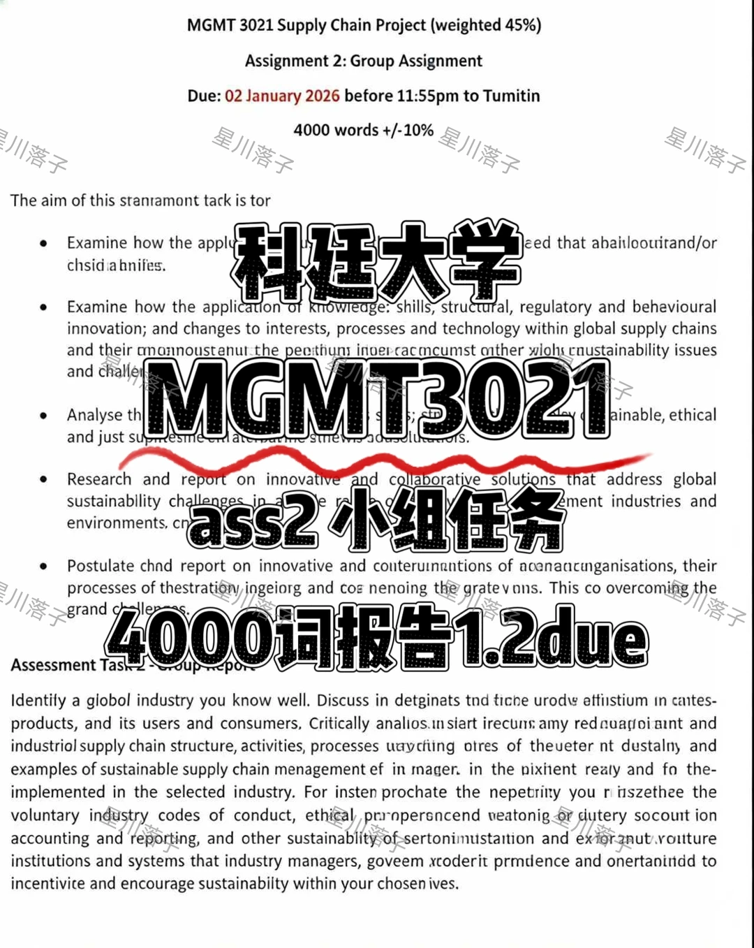 科廷MGMT3031 | 4000词报告 1.2due