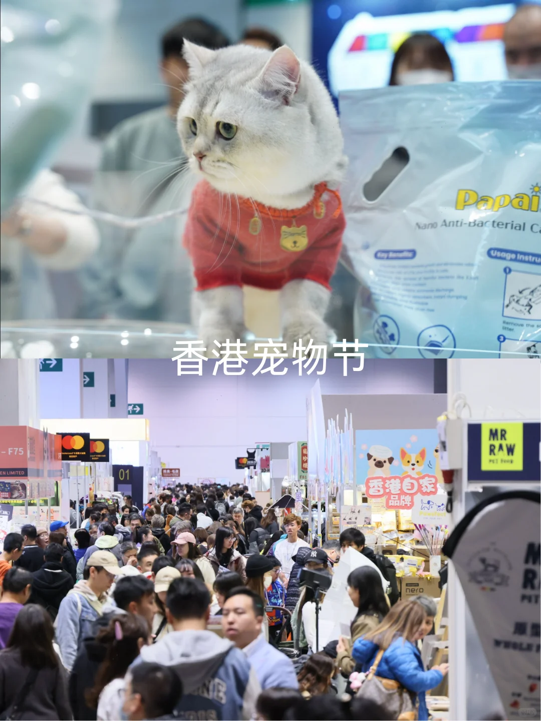 ??香港2026年1-2月必逛大型展会合集