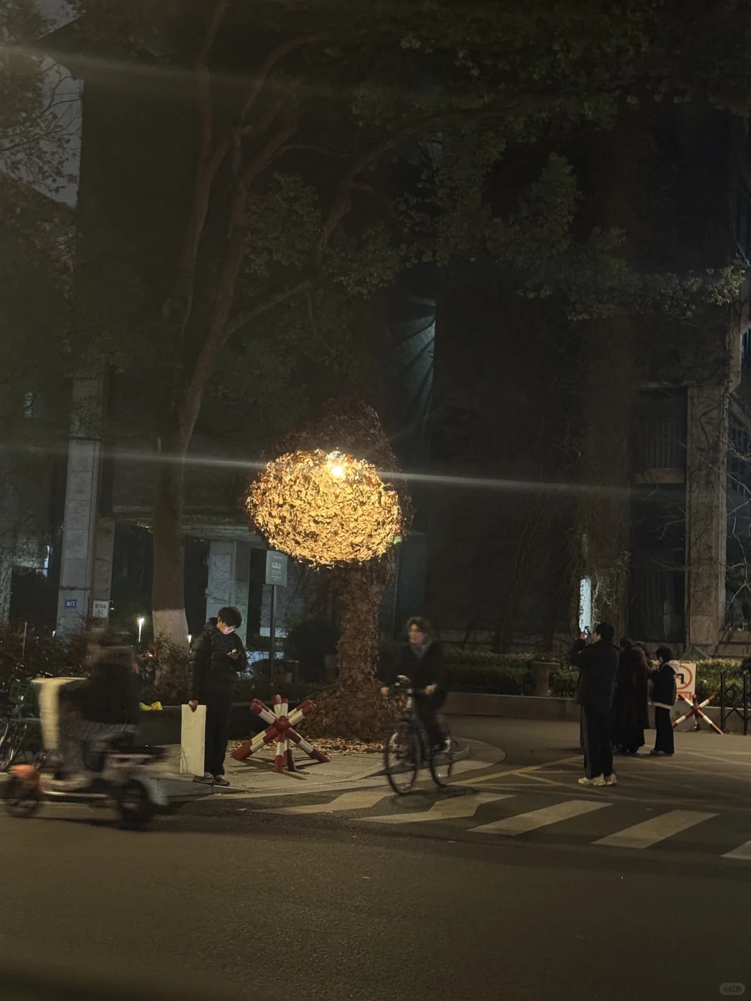 一年一度美院秋叶艺术节又开始啦