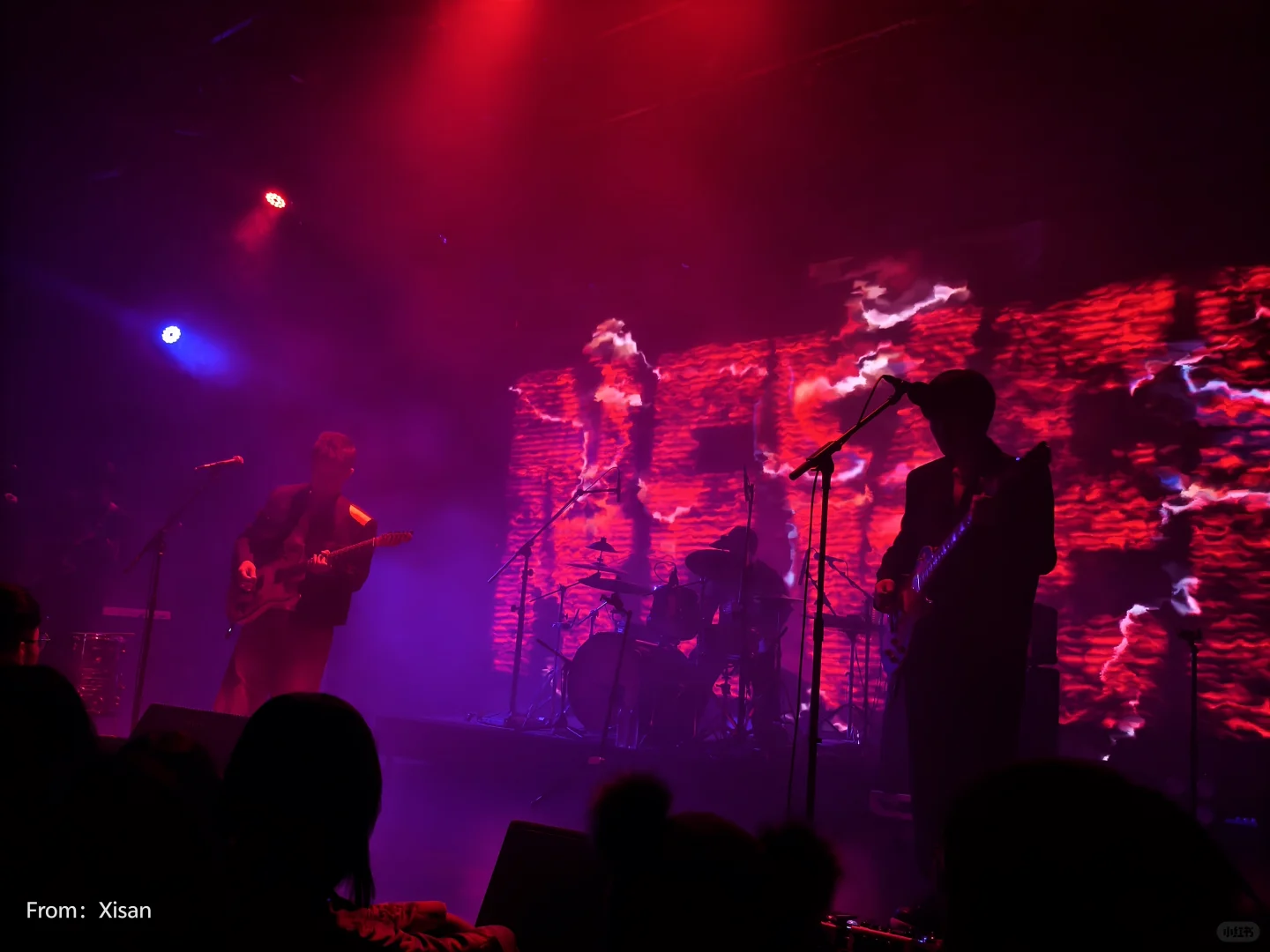 白皮书乐队‼️‼️