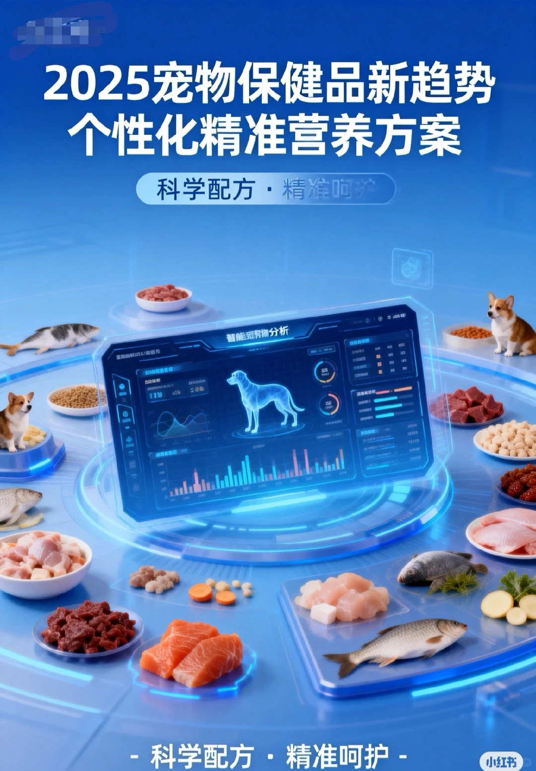 宠物保健品，应该拼功效还是卷价格呢？