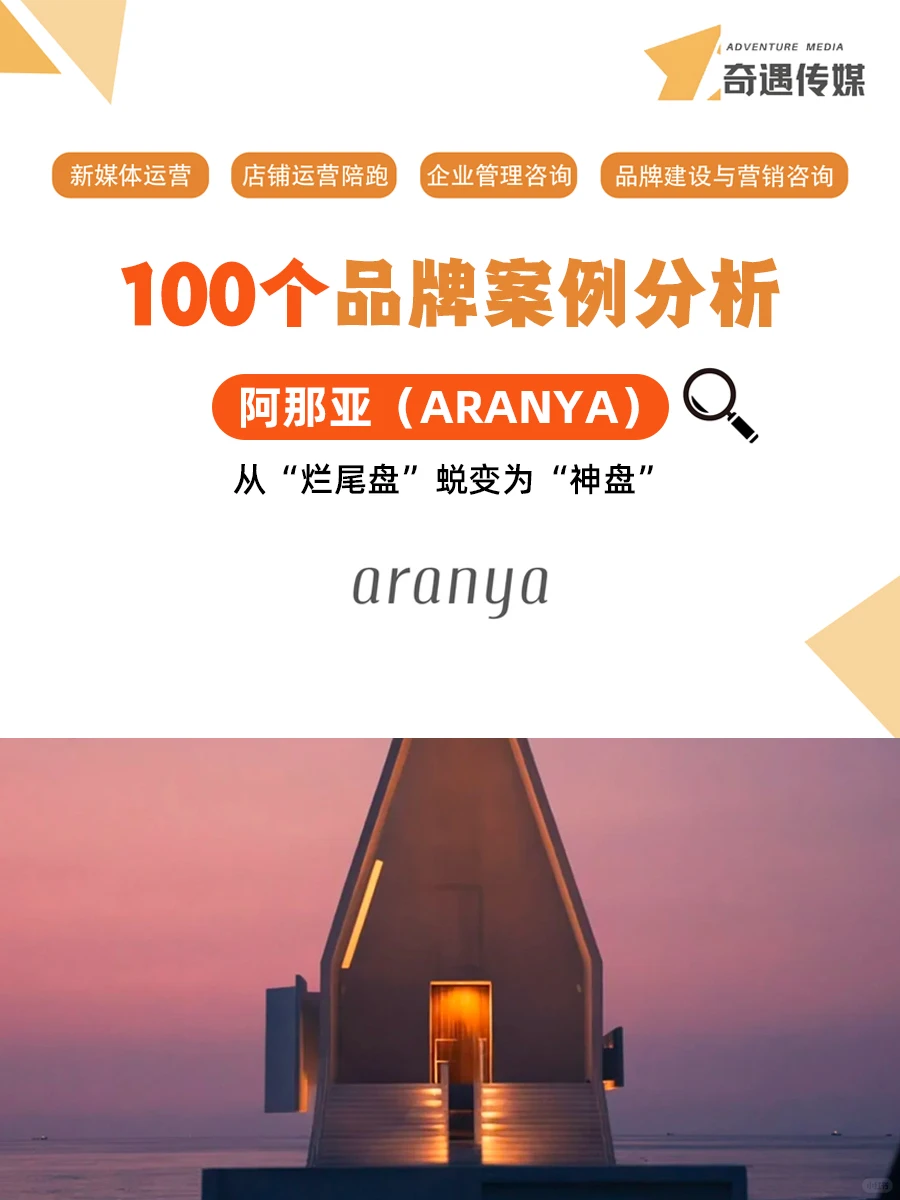 100个品牌案例分析——阿那亚（Aranya）