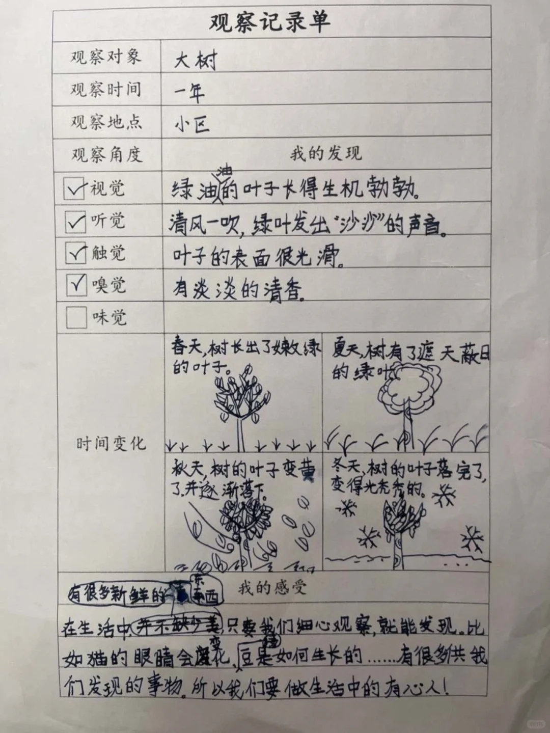 三上五单元观察记录单