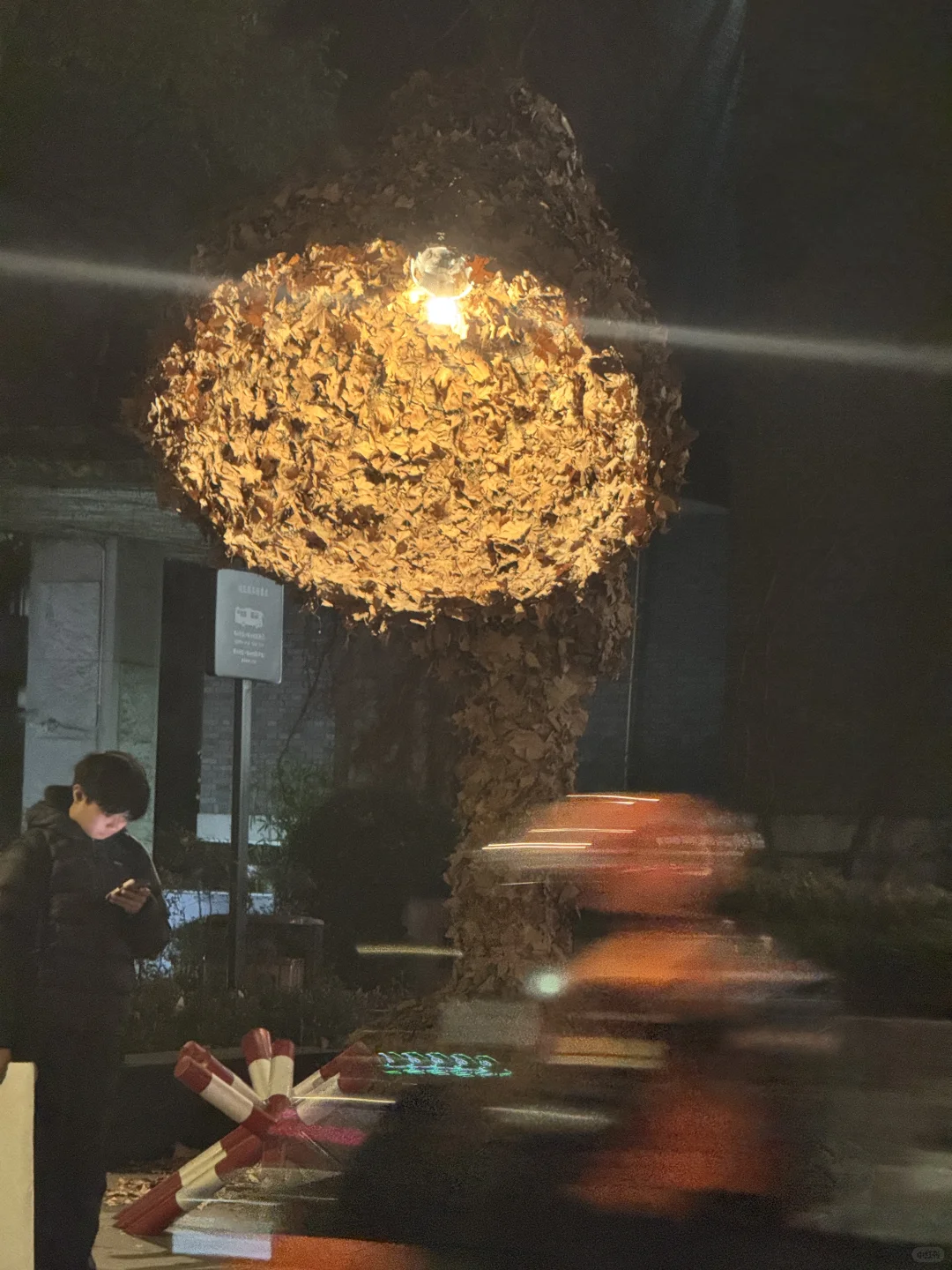 一年一度美院秋叶艺术节又开始啦