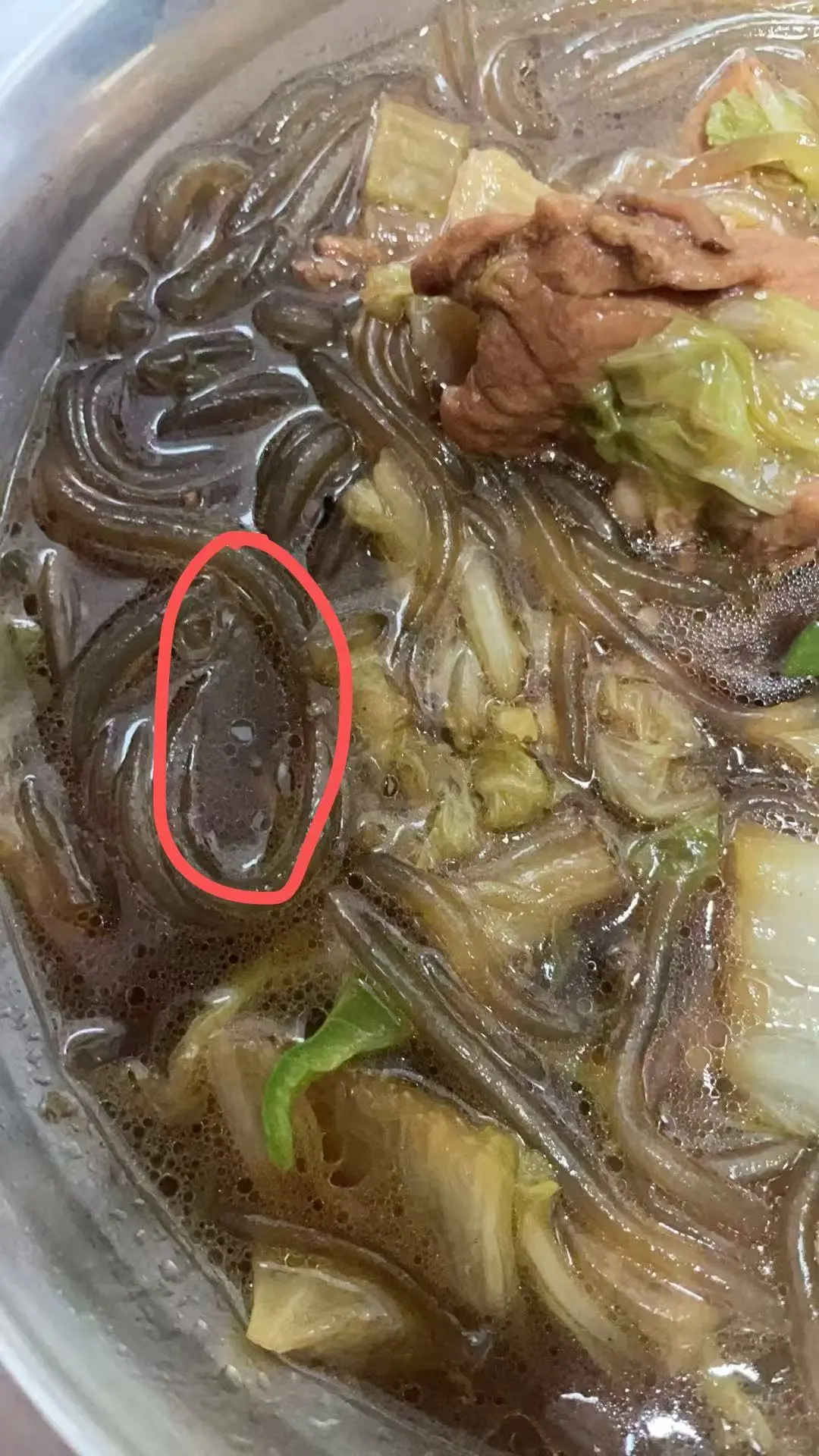 白瞎了一锅白菜粉条排骨