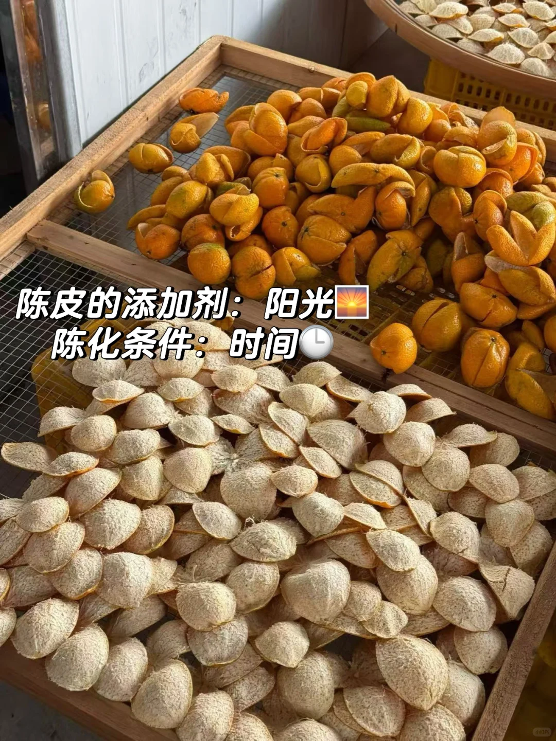 ?陈皮市场规范：什么是新会陈皮？