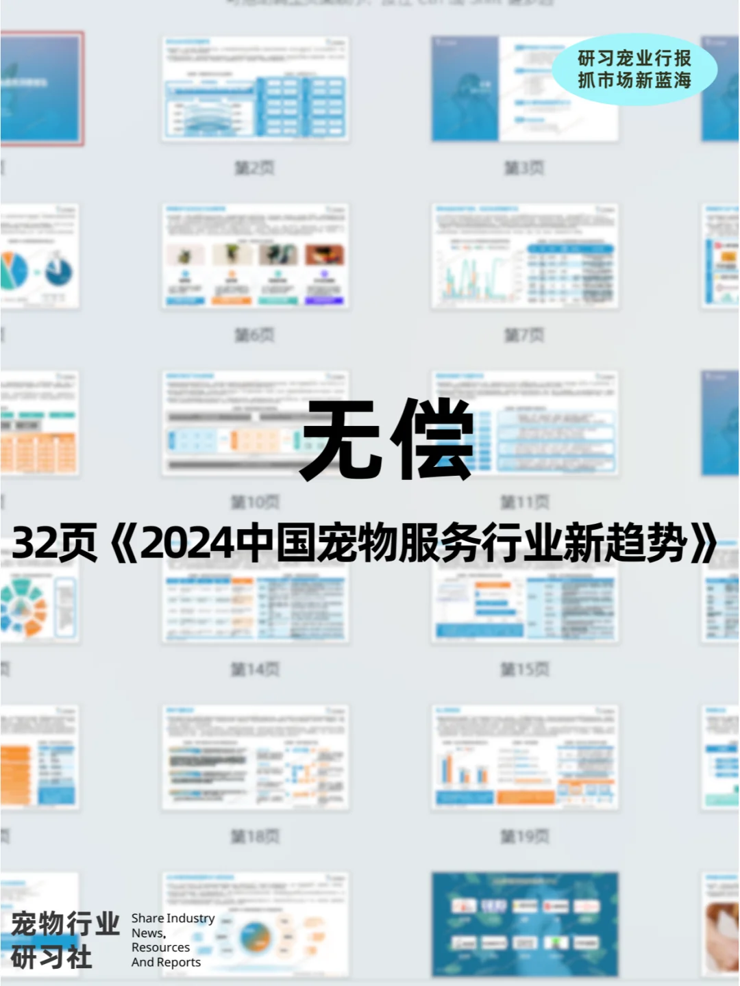 宠物报告|后?时代，宠物店该走向何方？