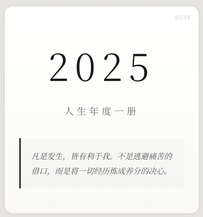 我对自己很满意 2025年度报告