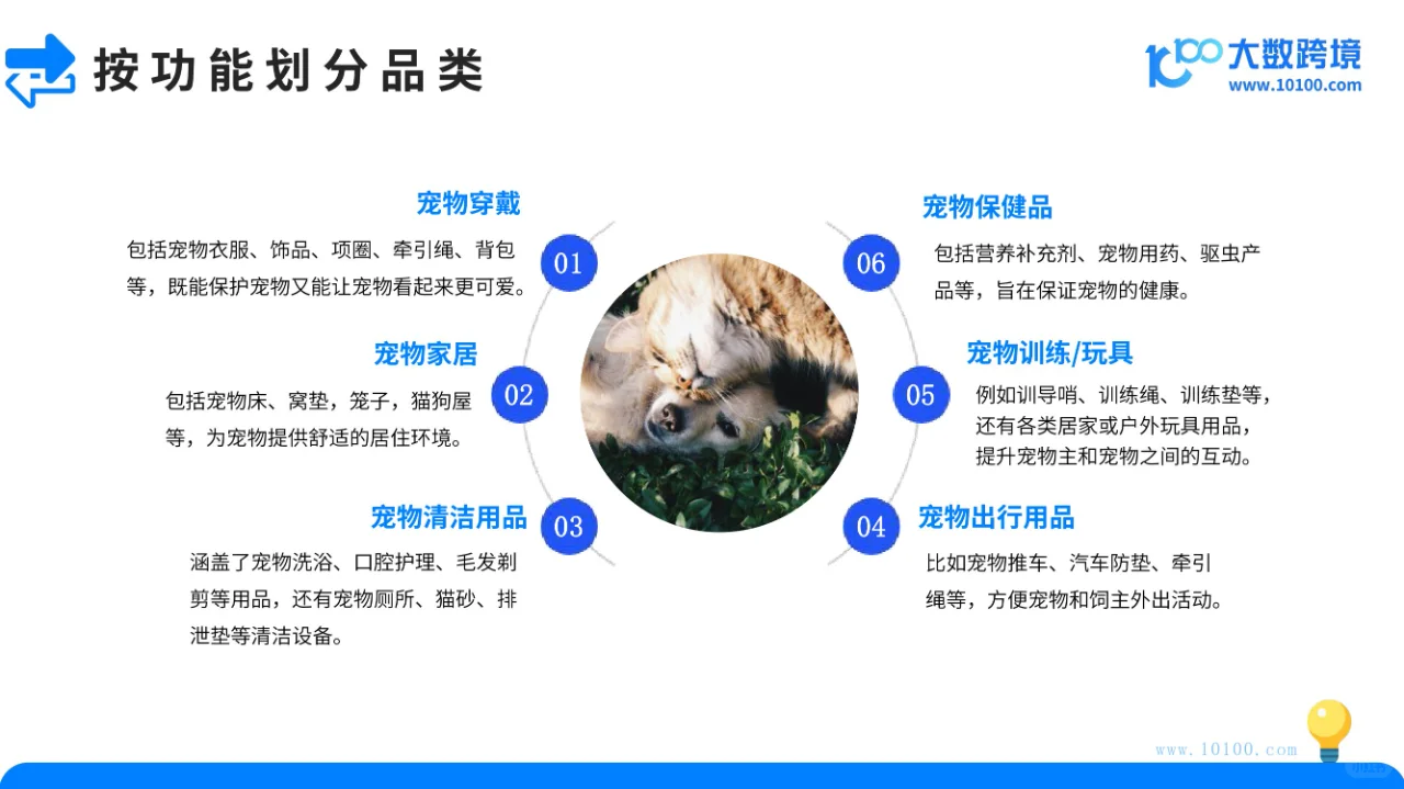 宠物用品市场洞察报告