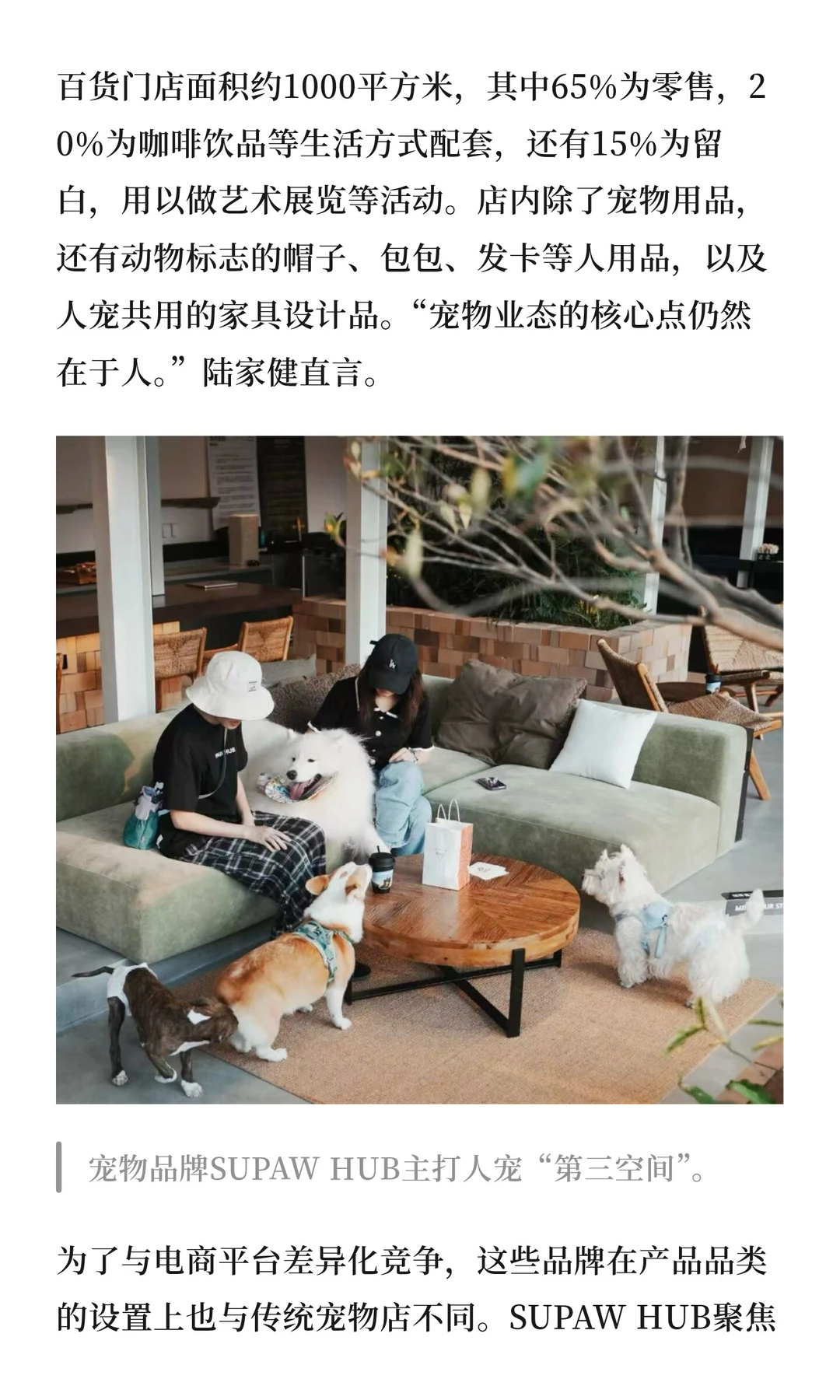 商场的下一个目标可能是“狗山人海”