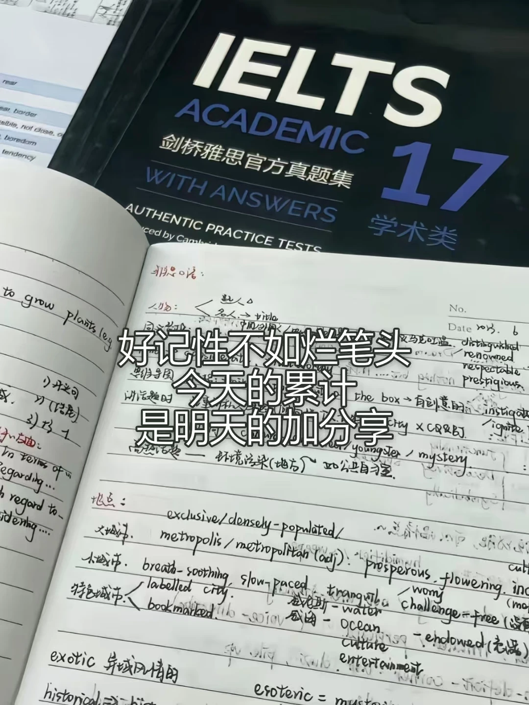 别被小红书雅思鸡汤骗了！