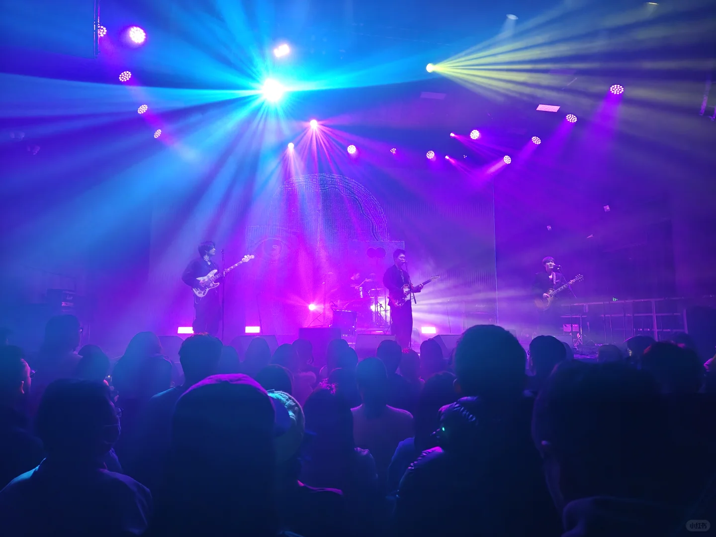 白皮书 北京 按计划执行