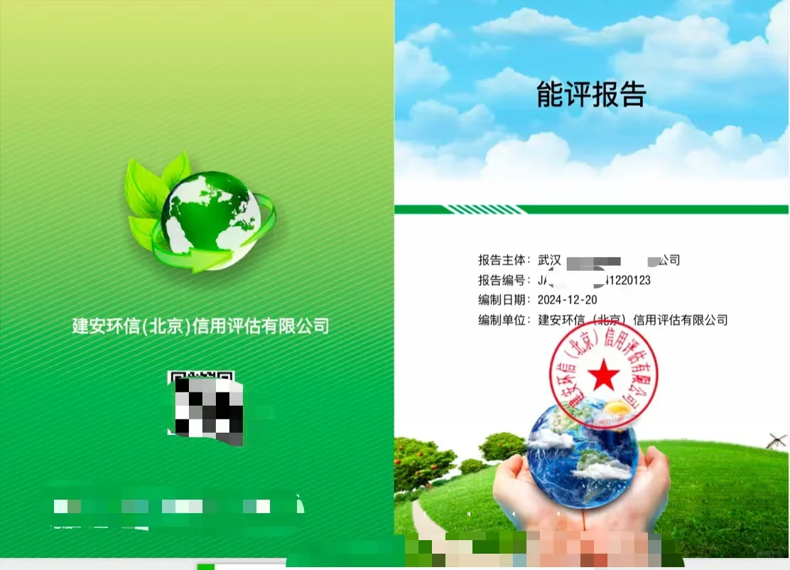 国网电网招标绿色报告