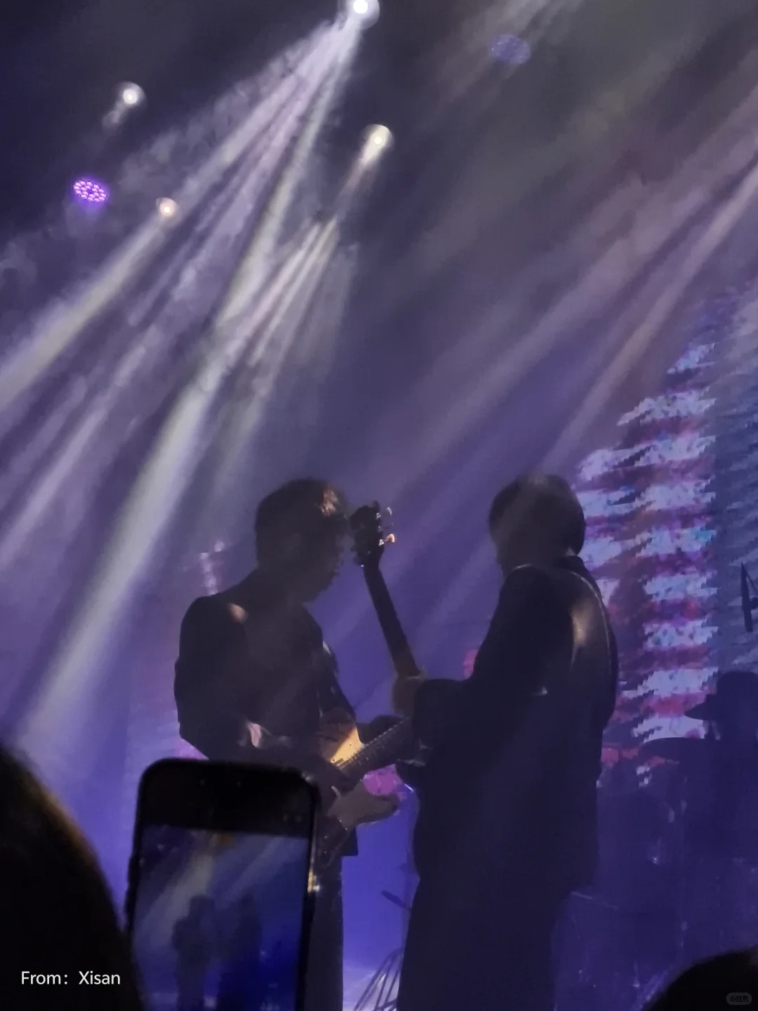 白皮书乐队‼️‼️