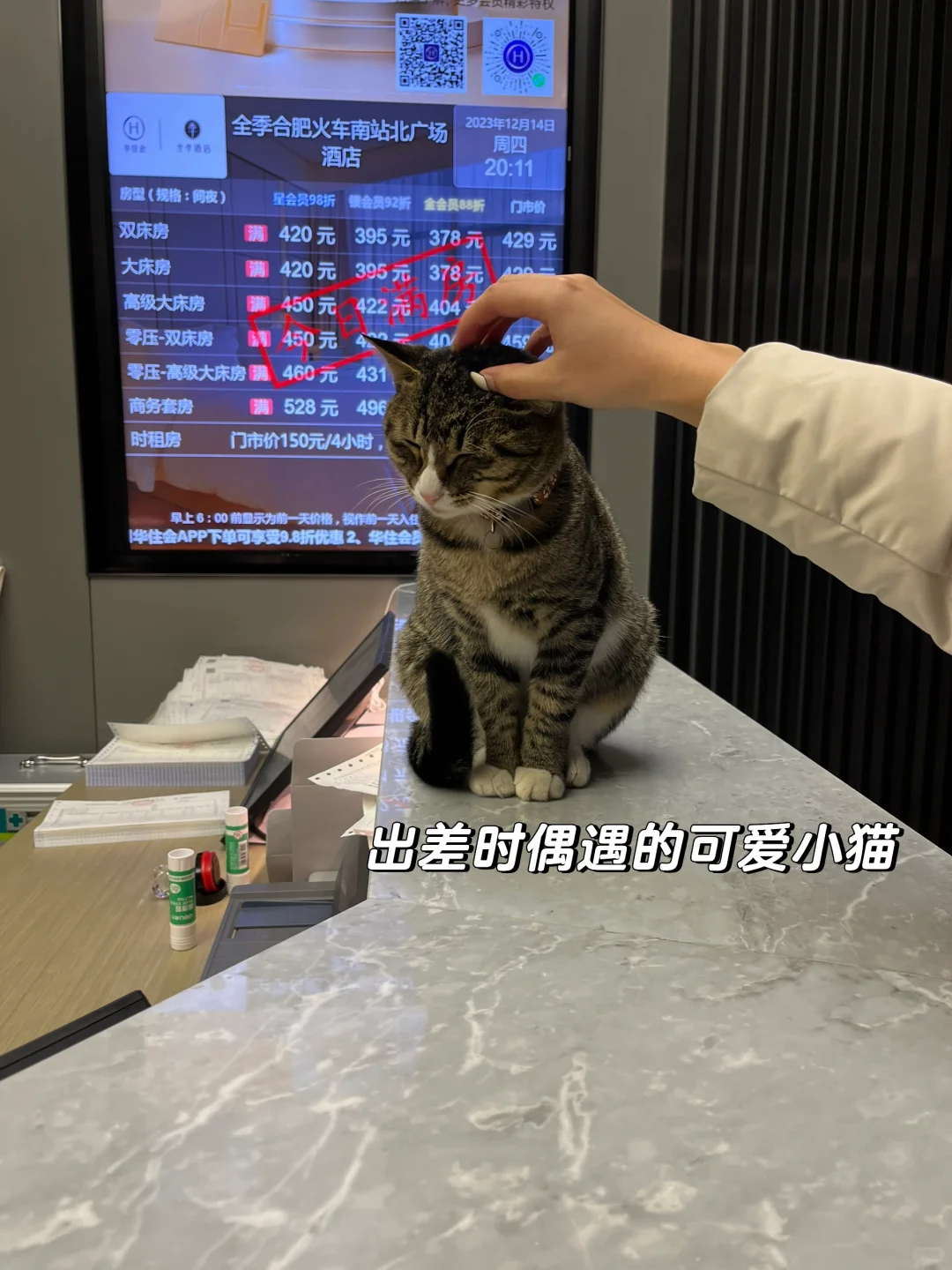 战略咨询|在四大ESG战略咨询主要都做些什么