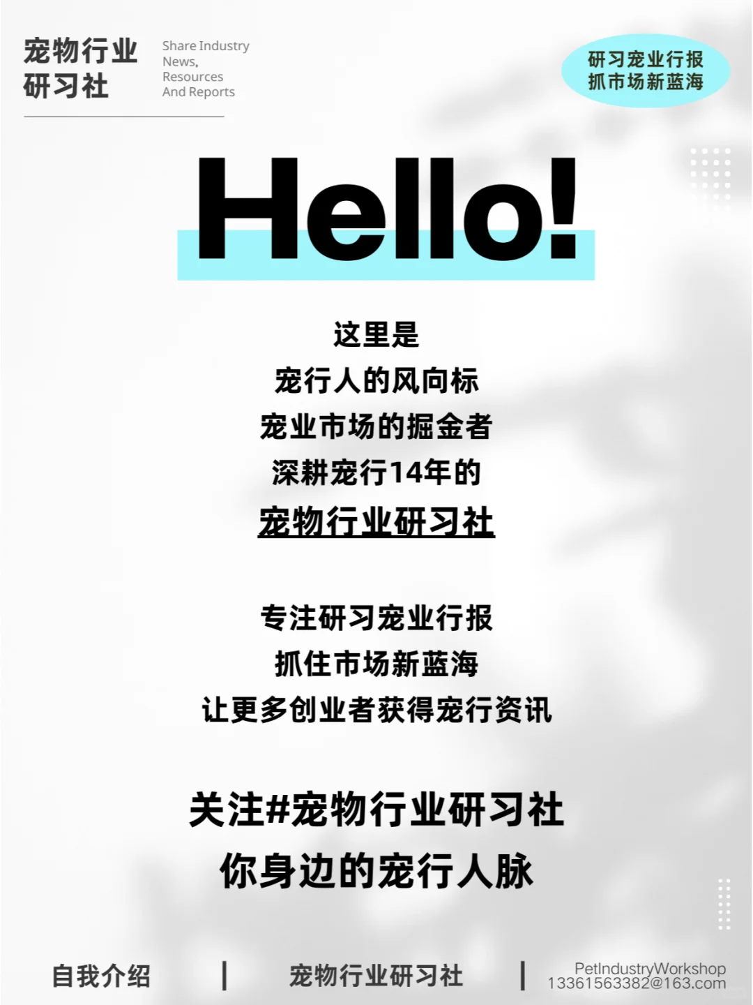 宠物报告|后?时代，宠物店该走向何方？