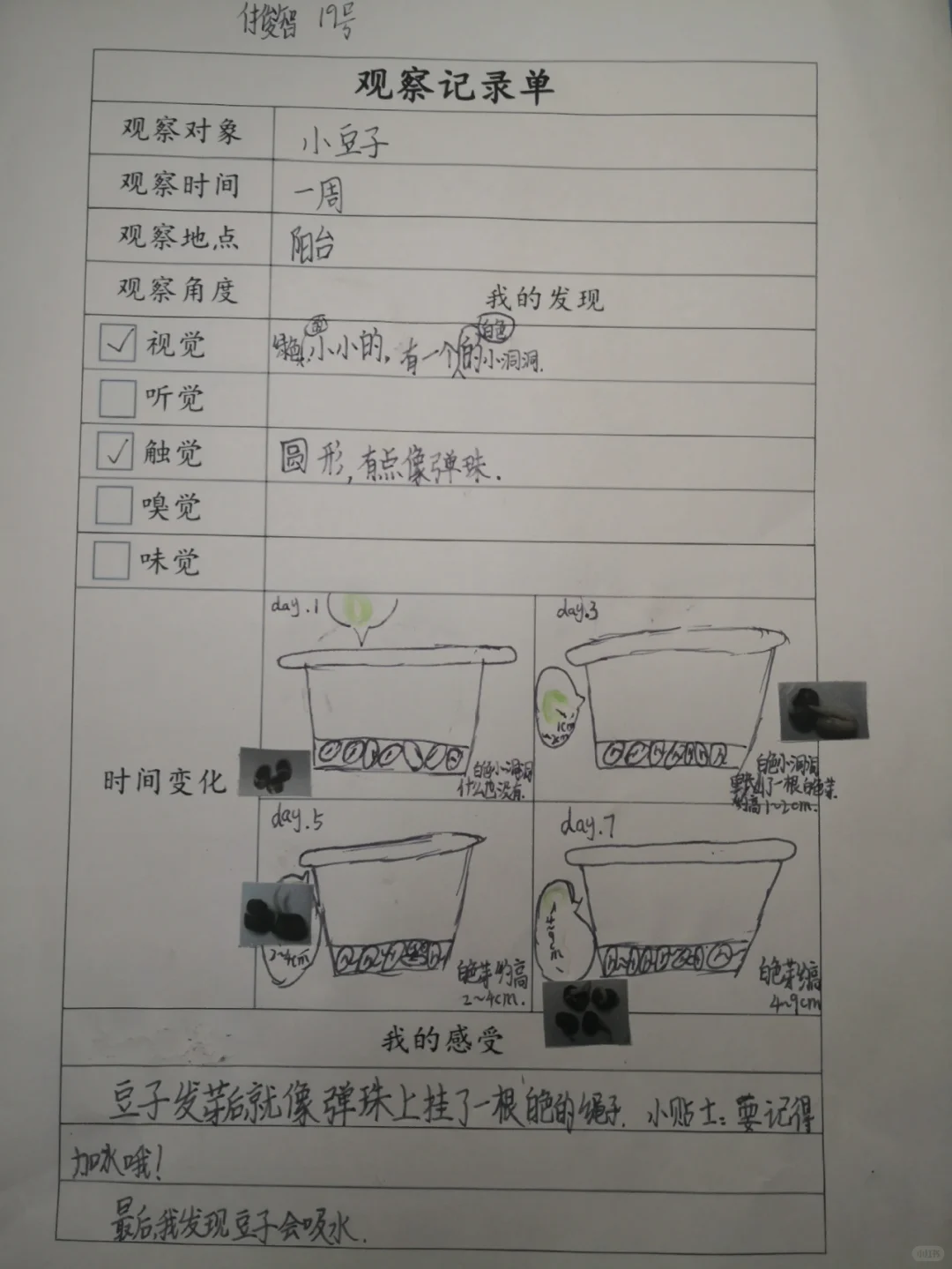 三上五单元观察记录单