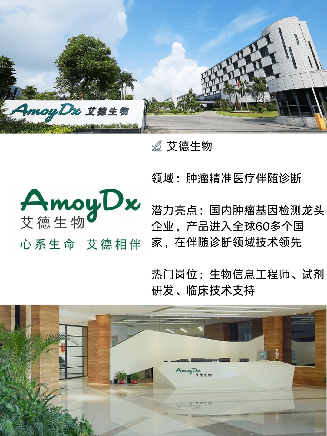 厦门这10家黑马企业，太赞了！极具潜力！