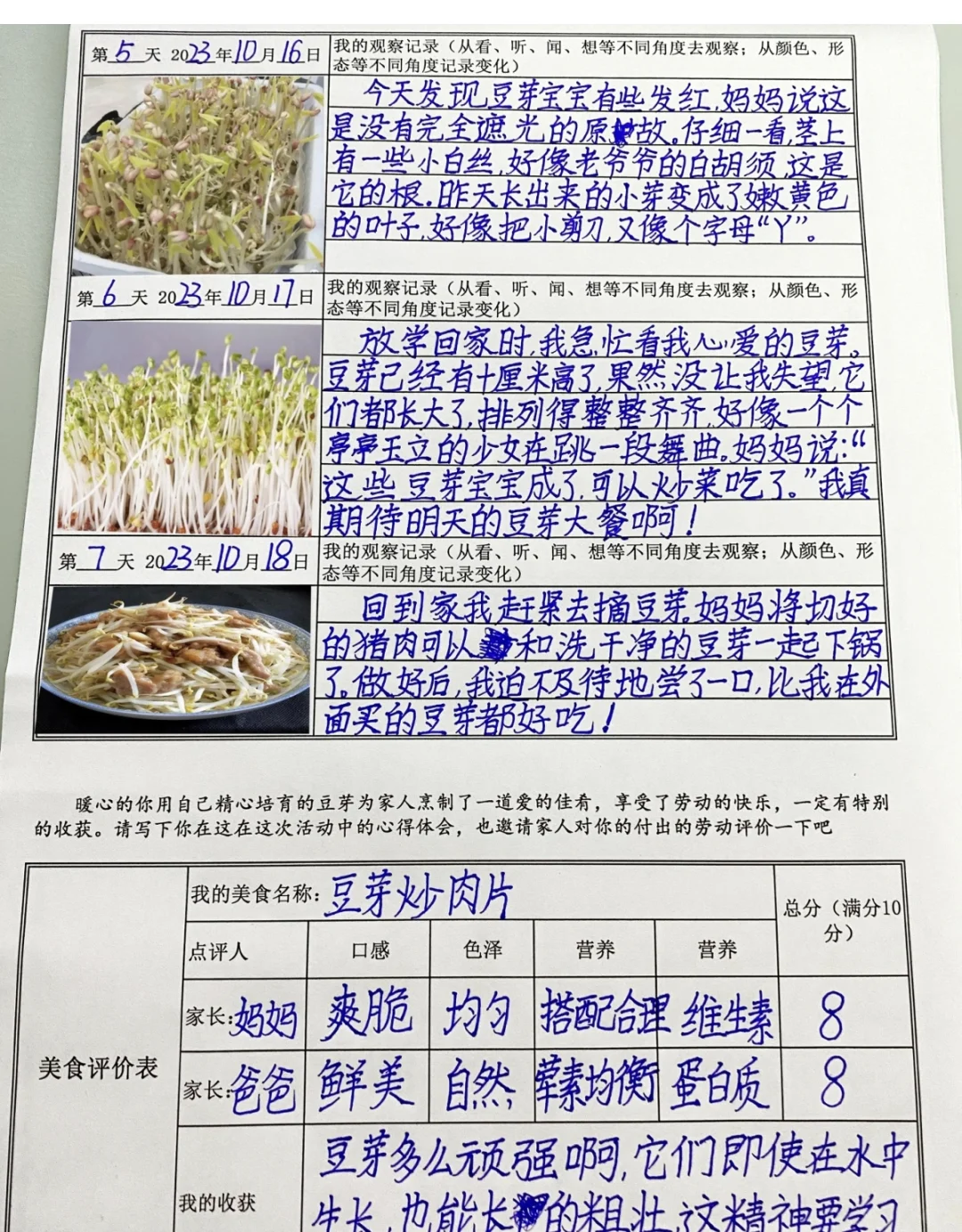 第三单元观察记录表（附空白表格）