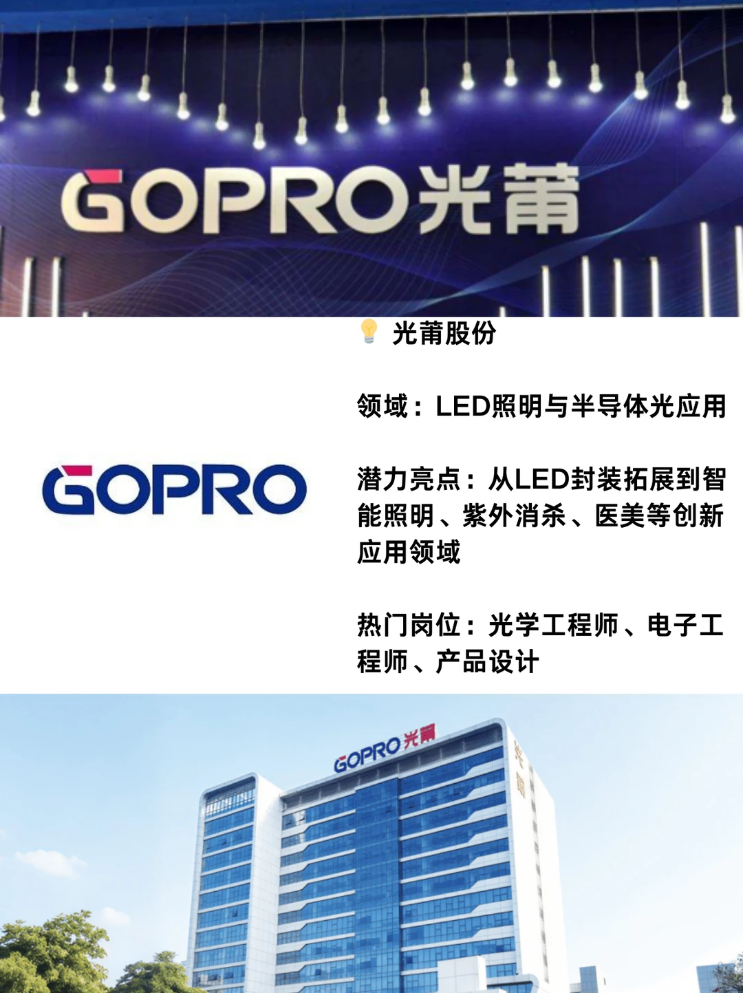 厦门这10家黑马企业，太赞了！极具潜力！