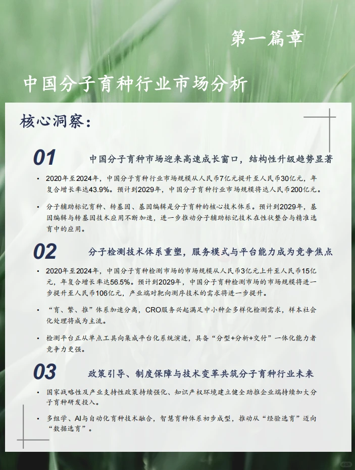 39页报告/2025年中国分子育种市场白皮书