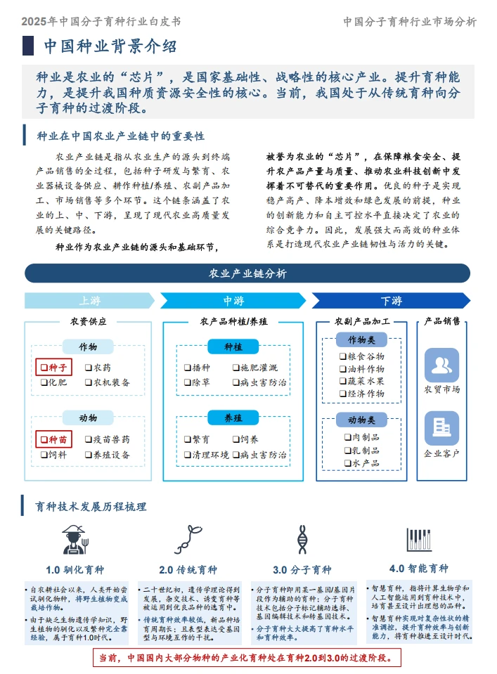 39页报告/2025年中国分子育种市场白皮书