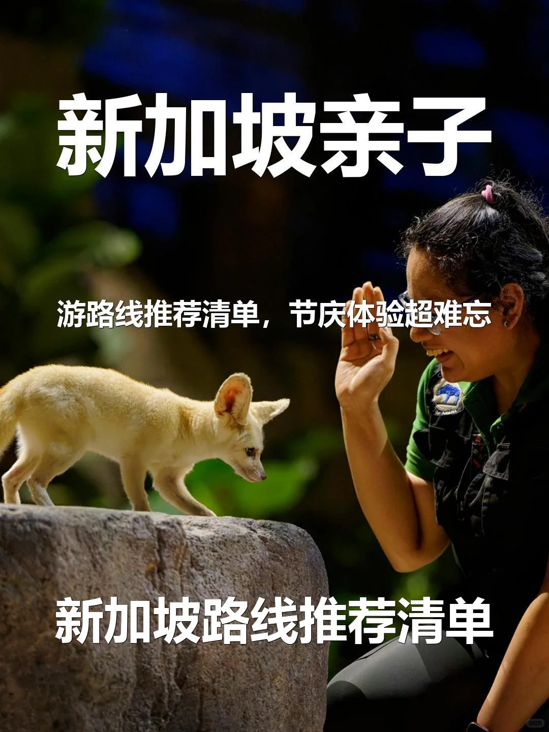 新加坡亲子游路线推荐清单,节庆体验超难忘