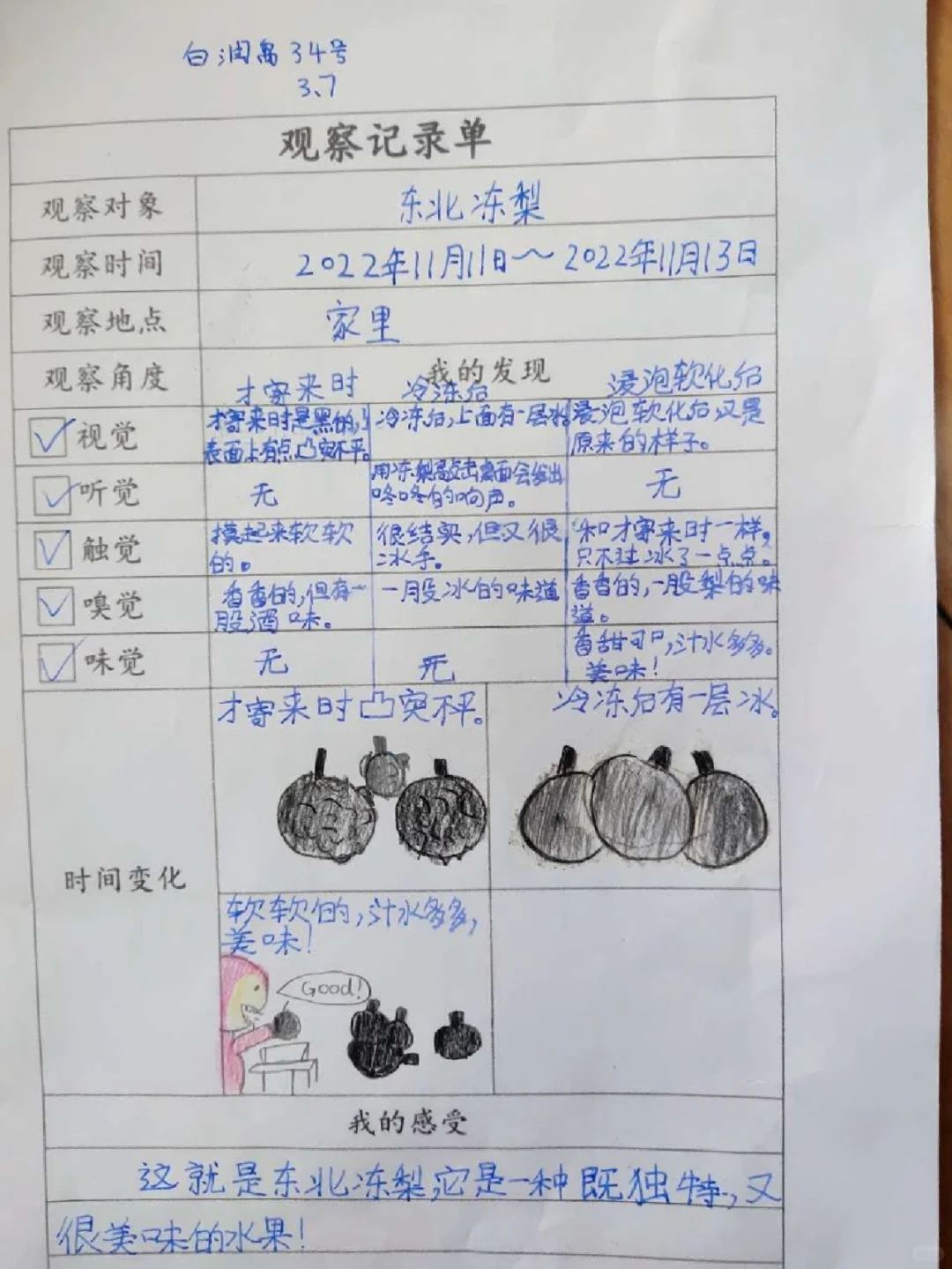 三上五单元观察记录单