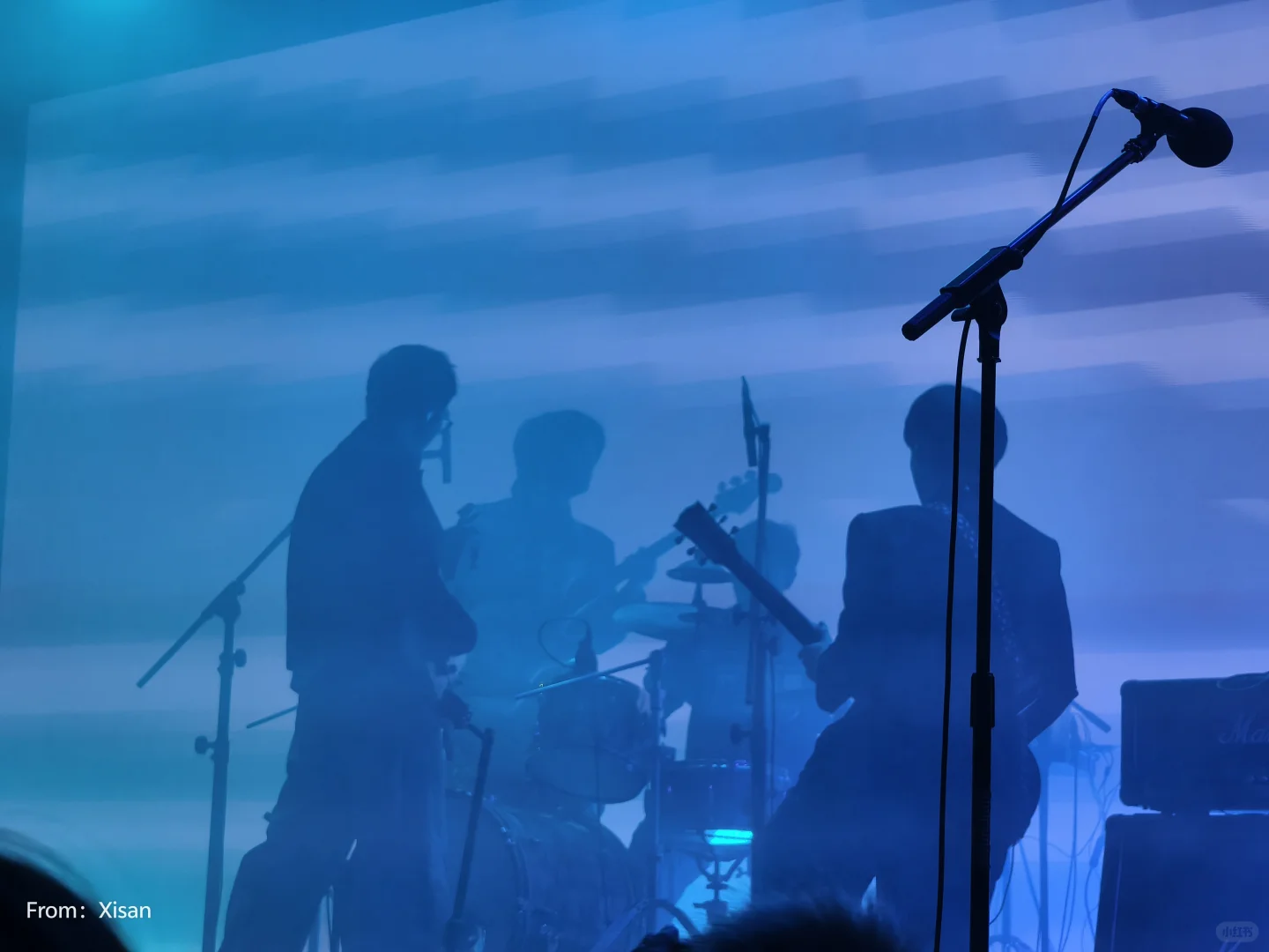 白皮书乐队‼️‼️