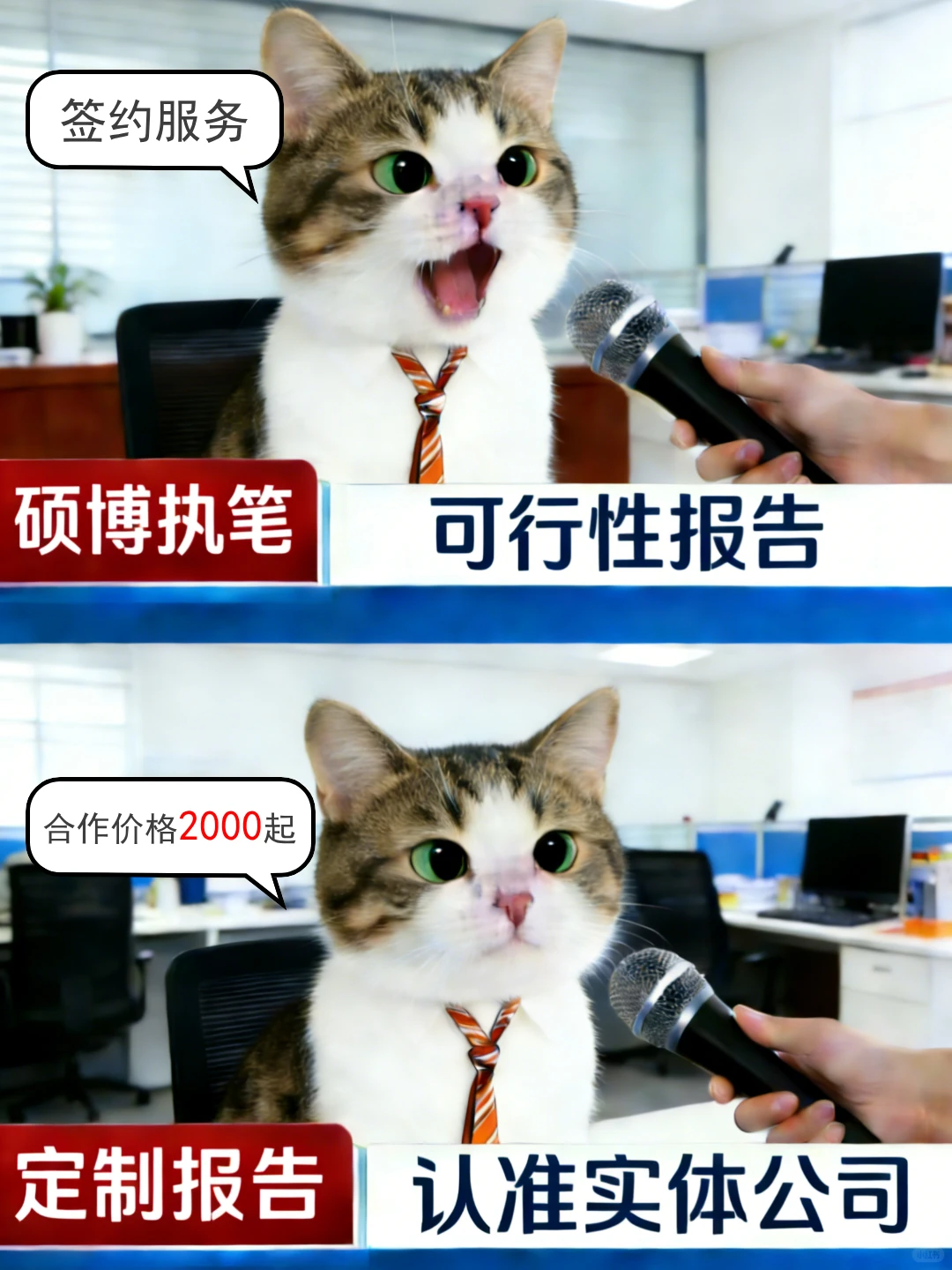 实体公司签约，报告撰写品质保障！