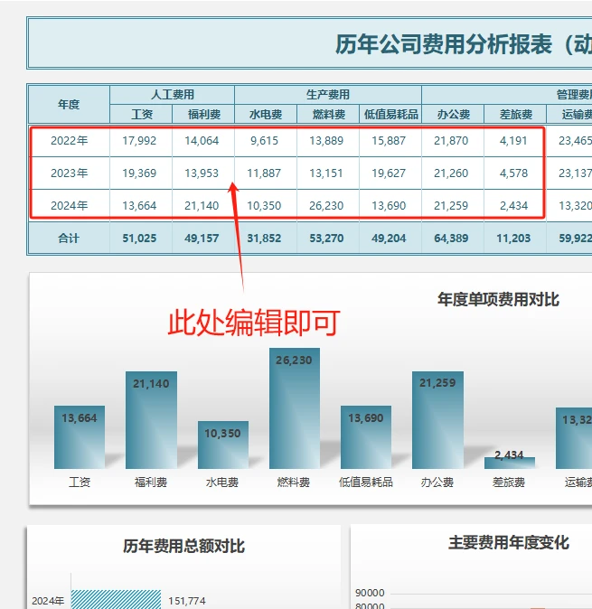 【24019】年度（历年）公司费用分析表