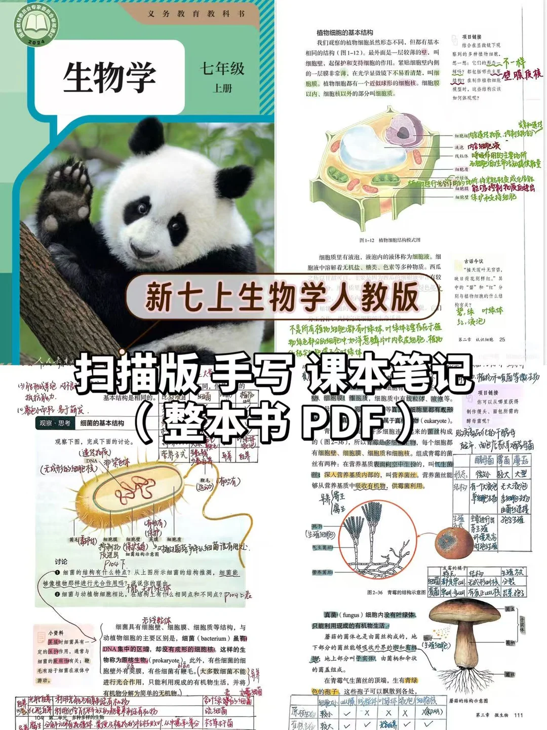 25新七上生物备课笔记｜教案 第二节 观察