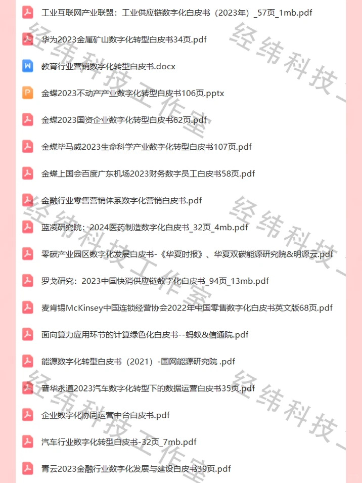 2024企业数字化转型研究报告白皮书