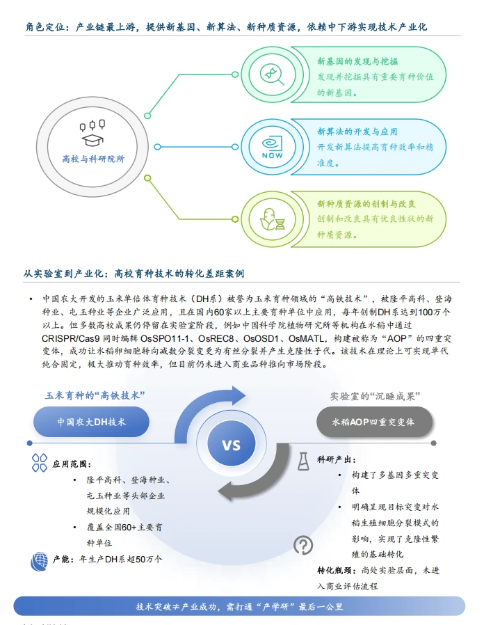 39页报告/2025年中国分子育种市场白皮书