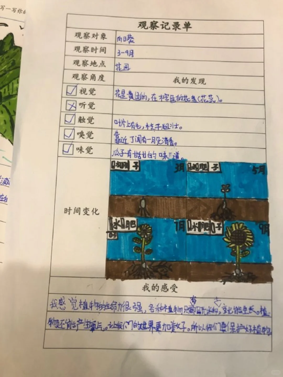 三上五单元观察记录单